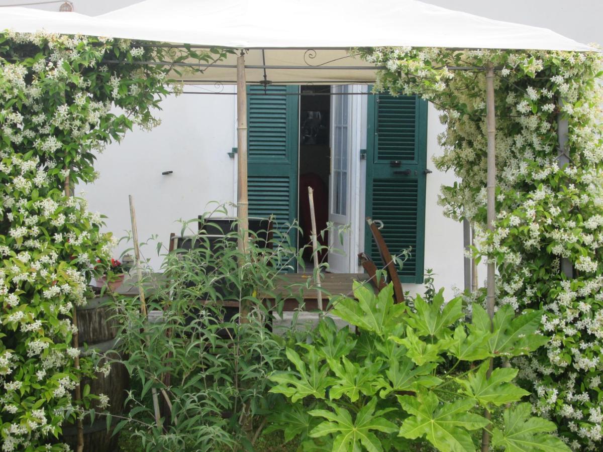 Vila Casa Margubbio Ameglia Exteriér fotografie